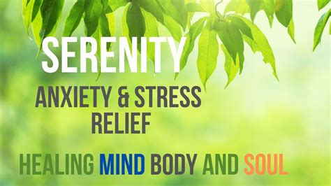 the serenity method reviews|serenity method anxiety.